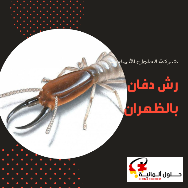 شركة رش الدفان بالظهران  title=